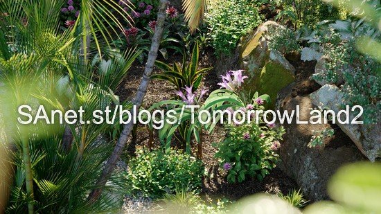 Globe Plants � Bundle 32 Brazilian Home &amp;amp; Garden Plants