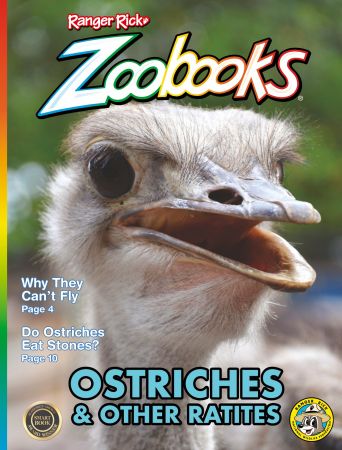 Zoobooks - September 2021