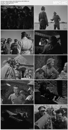 Sahara 1943 1080p BluRay x265-RARBG