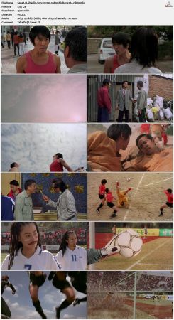 Shaolin Soccer 2001 1080p BluRay x264-nikt0