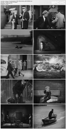 The Cameraman 1928 1080p BluRay x265-RARBG