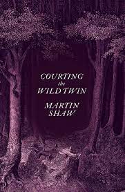 Courting the Wild Twin AudioBook
