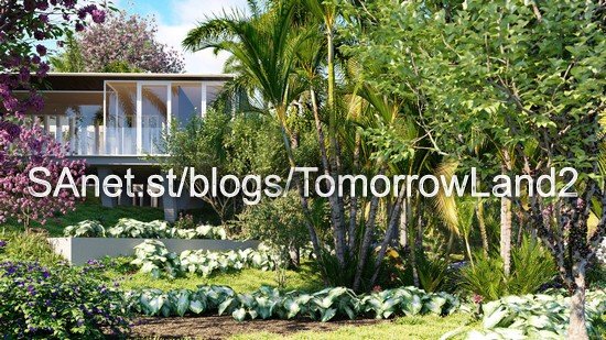 Globe Plants – Bundle 32 Brazilian Home &amp; Garden Plants