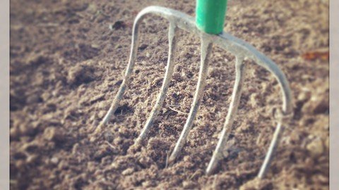 Building Soil from Scratch for Beginners