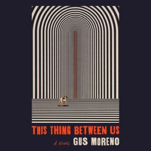 This Thing Between Us: A Novel Audiobook