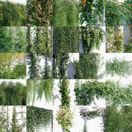 Globe Plants - Bundle 23 - Vines and Creepers 03