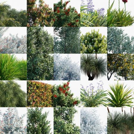 Globe Plants - Bundle 24 - Australian Home and Garden 03