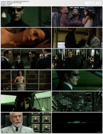 The Matrix Trilogy (1999-2003) 1080p BDRip x265 HEVC 10 Bit Dolby TrueHD MULTI SUBS-INFERNO