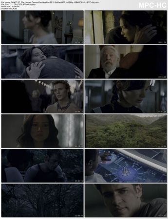 The Hunger Games Pack BluRay HDR10 1080p 10Bit DDP5.1 HEVC-d3g