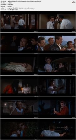 Rebel Without a Cause 1955 1080p BluRay x264-nikt0