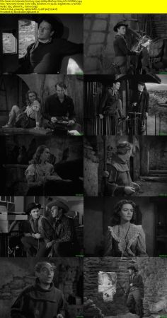 Colorado Territory 1949 1080p BluRay H264 AAC-RARBG