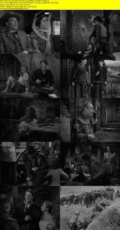 Colorado Territory 1949 BRRip XviD MP3-XVID