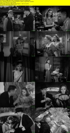 High Sierra 1941 720p BluRay H264 AAC-RARBG