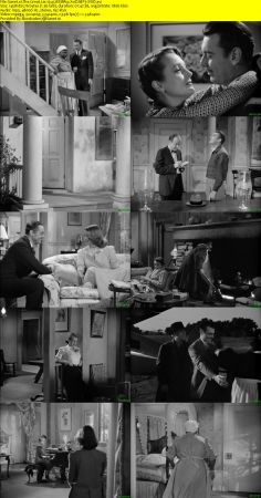 The Great Lie 1941 WEBRip XviD MP3-XVID