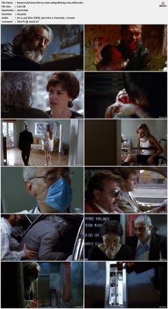 Amores Perros 2000 1080p BluRay x264-nikt0