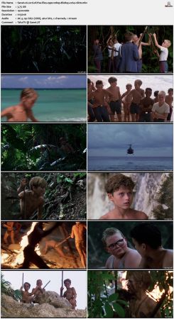 Lord of the Flies 1990 1080p BluRay x264-nikt0