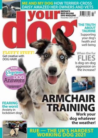 Your Dog Magazine - November 2021