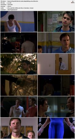 Peaceful Warrior 2006 1080p BluRay x264-nikt0