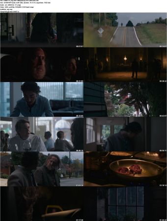 Pig 2021 1080p Bluray AC3 x264-AdiT