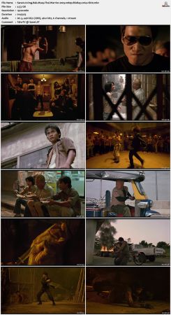 Ong Bak Muay Thai Warrior 2003 1080p BluRay x264-nikt0
