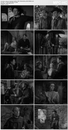 Colorado Territory 1949 1080p BluRay x265-RARBG