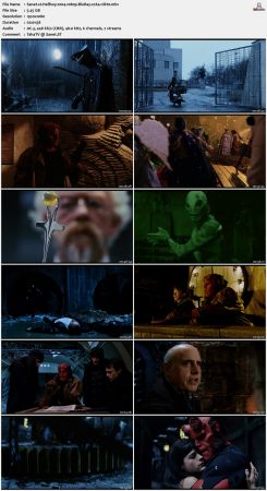 Hellboy 2004 1080p BluRay x264-nikt0