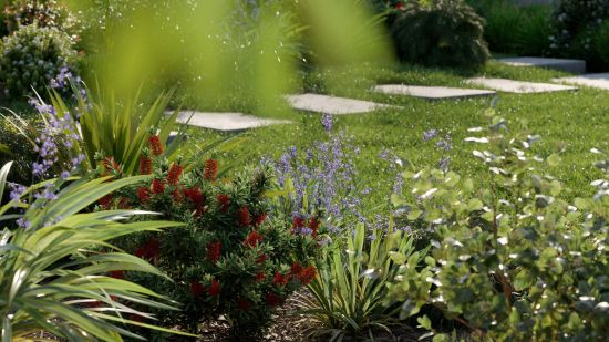 Globe Plants - Bundle 24 - Australian Home and Garden 03