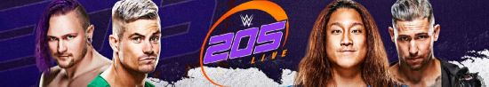 WWE 205 Live 2021 10 15 1080p WEB h264-HEEL