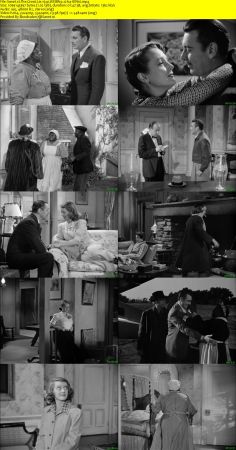 The Great Lie 1941 WEBRip x264-ION10