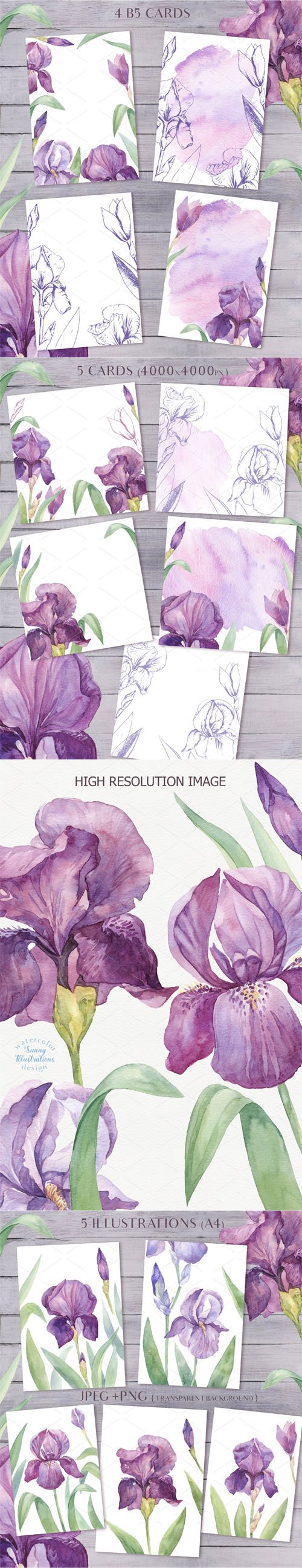 Violet Blossom - Watercolor Vector Graphic Set