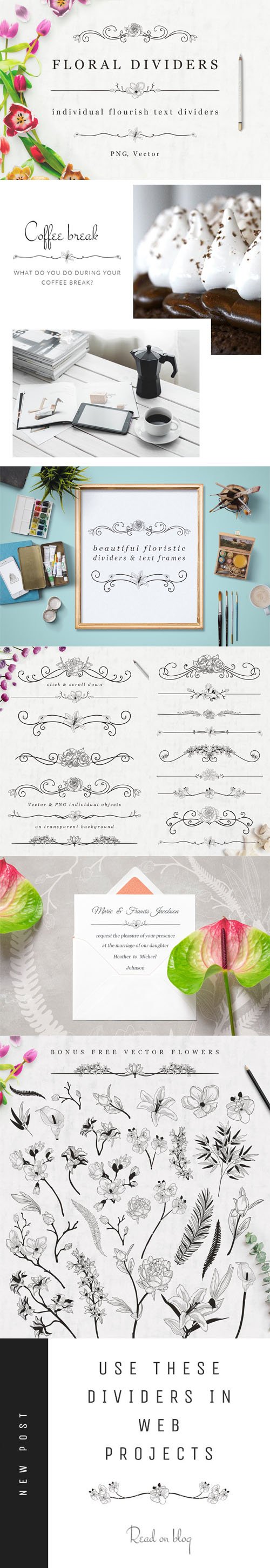Floral Dividers - Individual Flourish Text Dividers [EPS/PNG]
