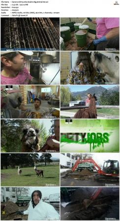 Dirty Jobs S04 TVRip XVID-MiXED