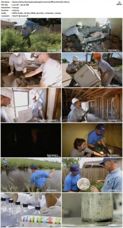 Dirty Jobs S03 TVRip XVID-MiXED