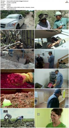 Dirty Jobs S04 TVRip XVID-MiXED