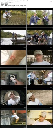 Dirty Jobs S03 TVRip XVID-MiXED