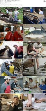 Dirty Jobs S04 TVRip XVID-MiXED