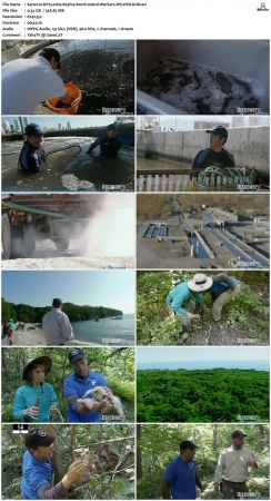 Dirty Jobs S03 TVRip XVID-MiXED