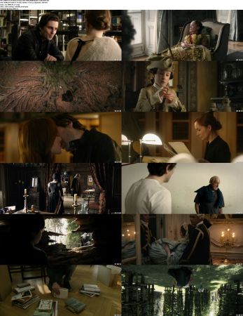 The Book of Vision 2021 1080p WEBRip DD5.1 X264-EVO