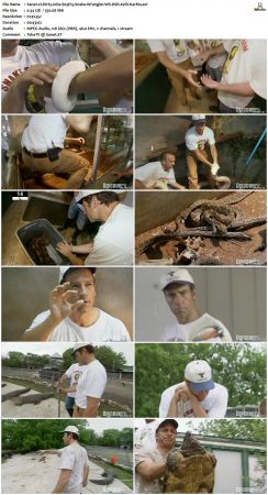 Dirty Jobs S03 TVRip XVID-MiXED