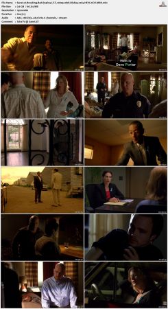 Breaking Bad S03 1080p 10bit BluRay x265 HEVC 6CH-MRN