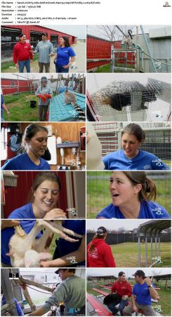 Dirty Jobs S06 720p HDTV DD5.1 x264-RZF