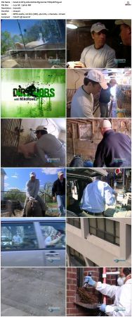 Dirty Jobs S01 TVRip XVID-MiXED