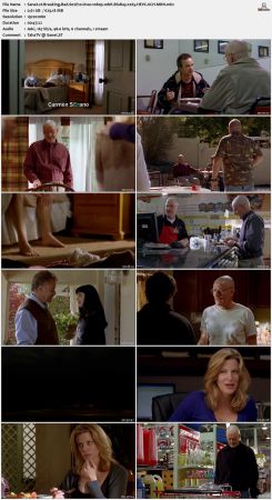 Breaking Bad S02 1080p 10bit BluRay x265 HEVC 6CH-MRN