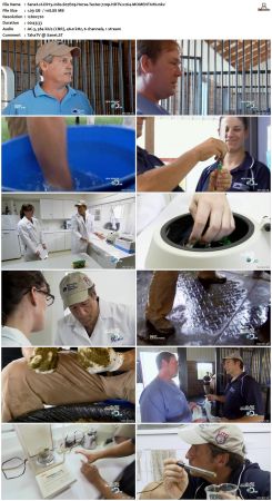 Dirty Jobs S07 720p HDTV x264-MOMENTUM