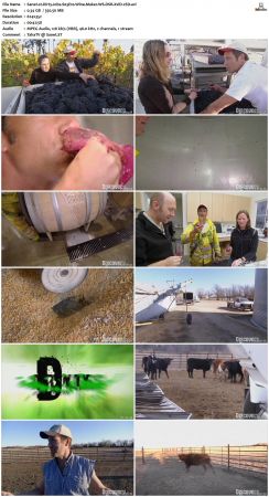 Dirty Jobs S03 TVRip XVID-MiXED