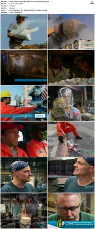 Dirty Jobs S02 TVRip XVID-MiXED