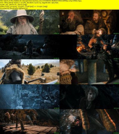 The Hobbit An Unexpected Journey 2012 EXTENDED REMASTERED BRRip x264-ION10