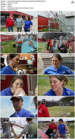 Dirty Jobs S07 720p HDTV x264-MOMENTUM