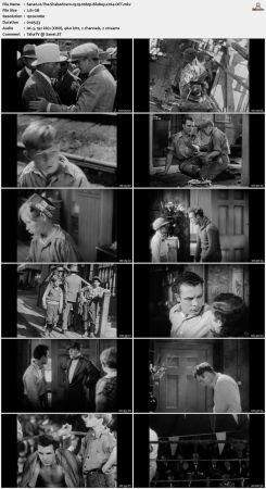 The Shakedown 1929 1080p BluRay x264-OFT