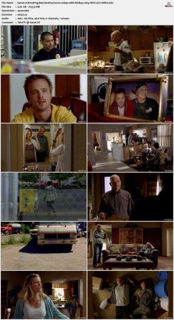 Breaking Bad S02 1080p 10bit BluRay x265 HEVC 6CH-MRN